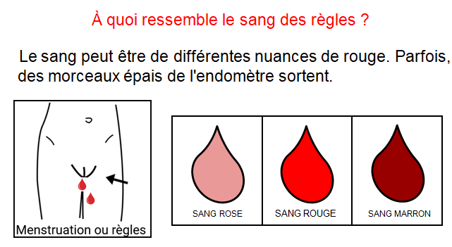 Scénario social: La menstruation ou Avoir ses règles